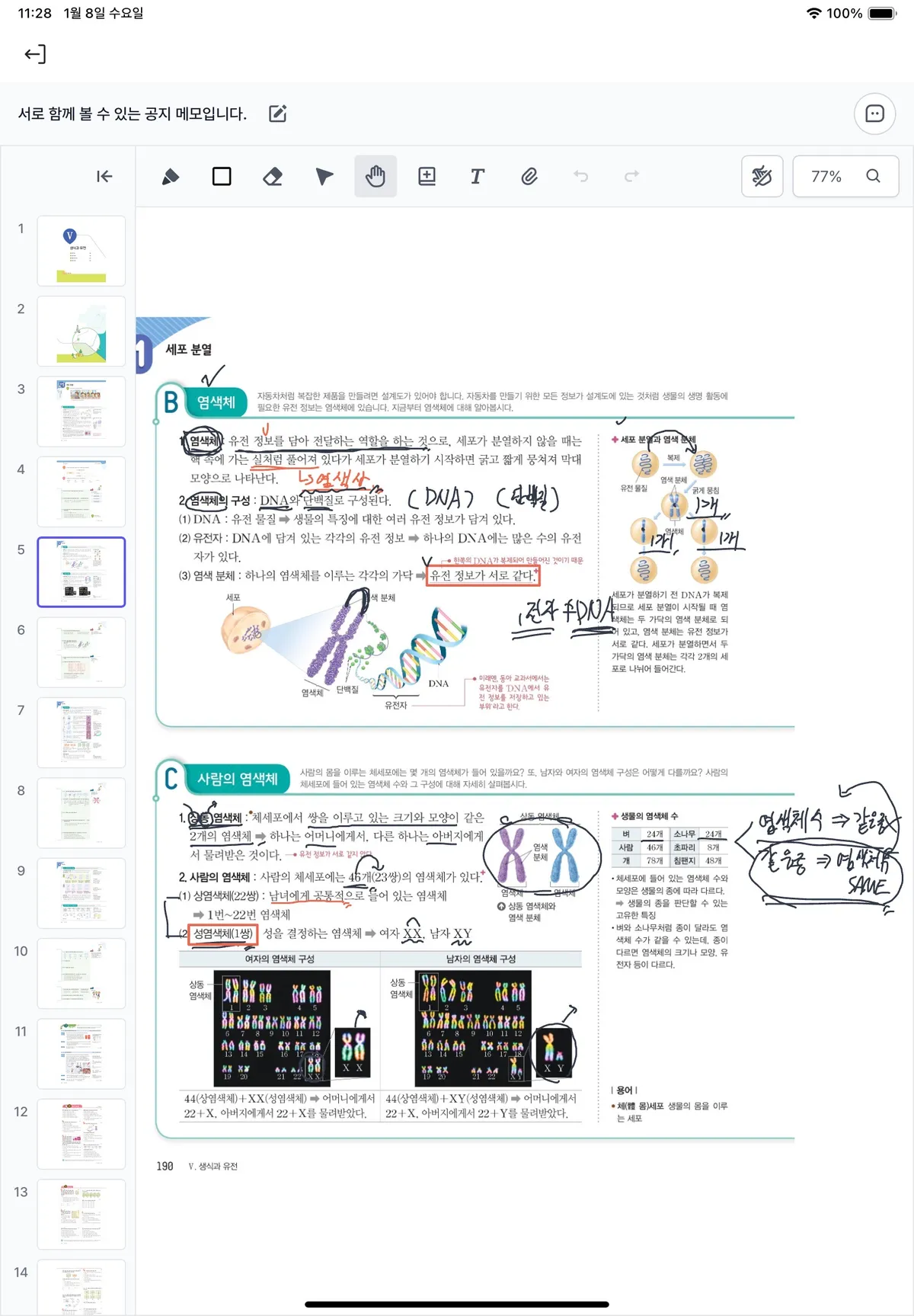 이미지 4