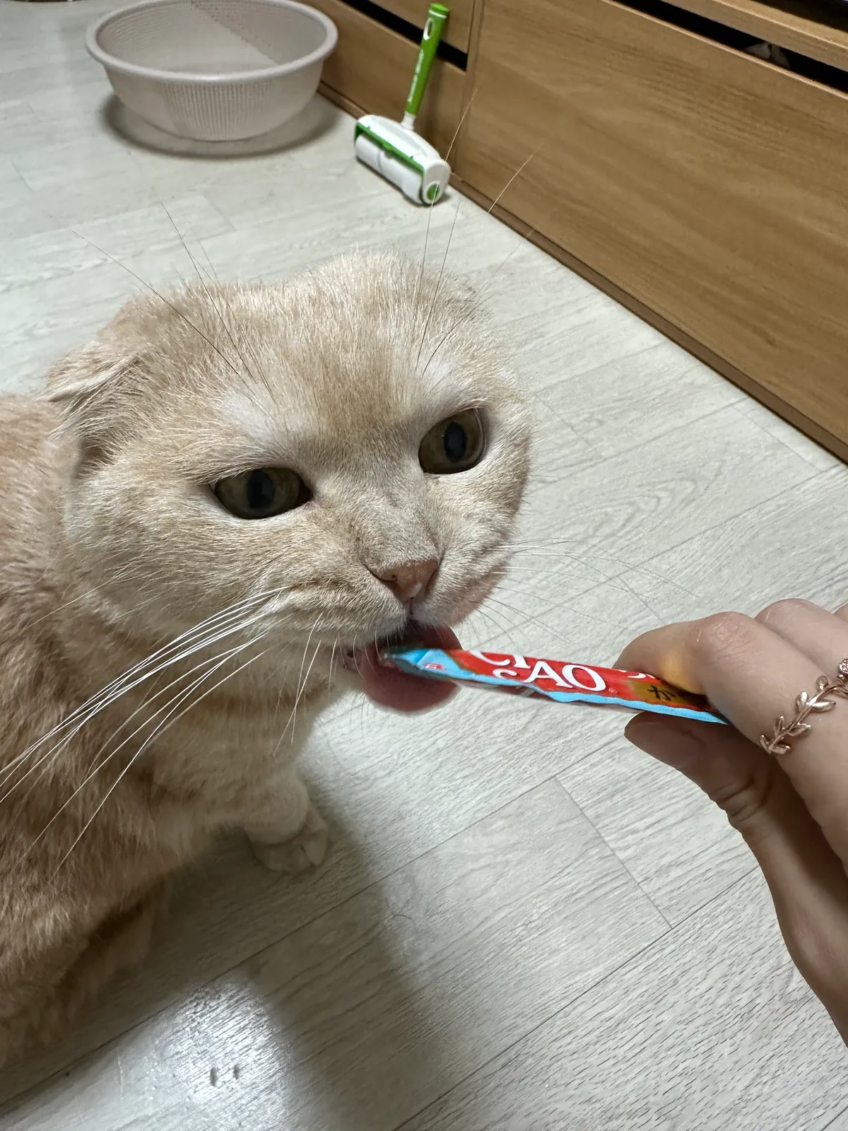 이미지 11