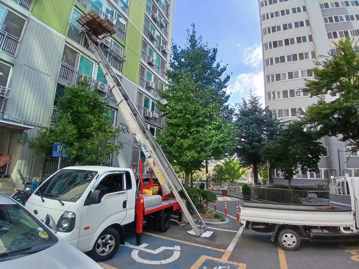 이미지 3