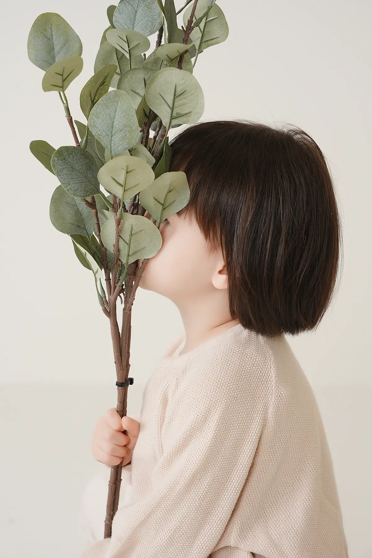 이미지 4