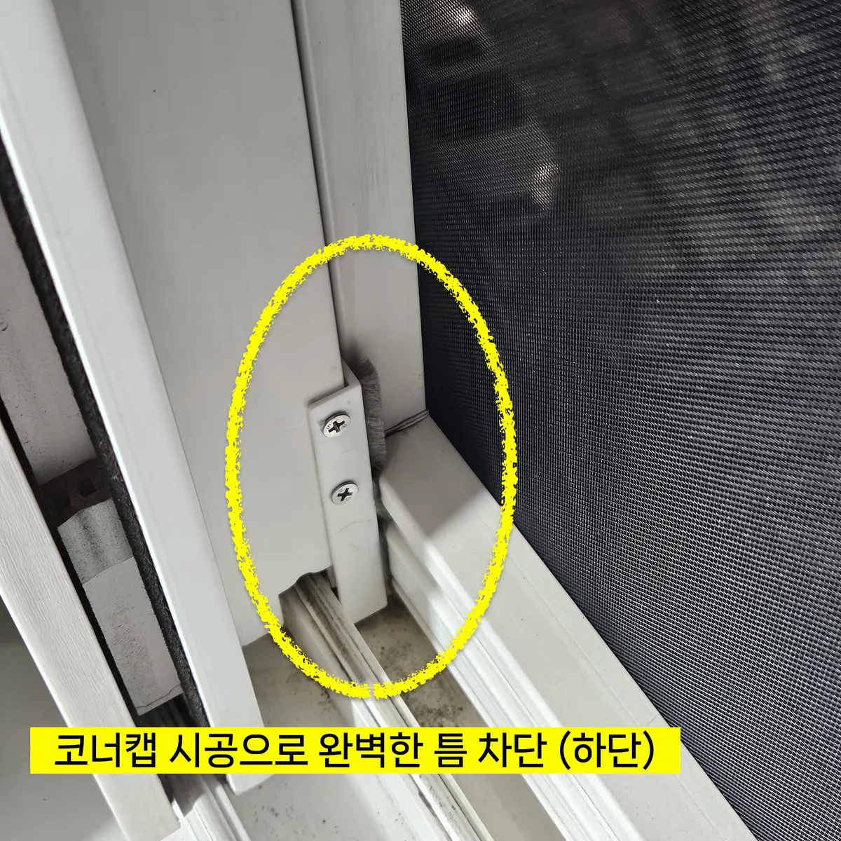 이미지 12