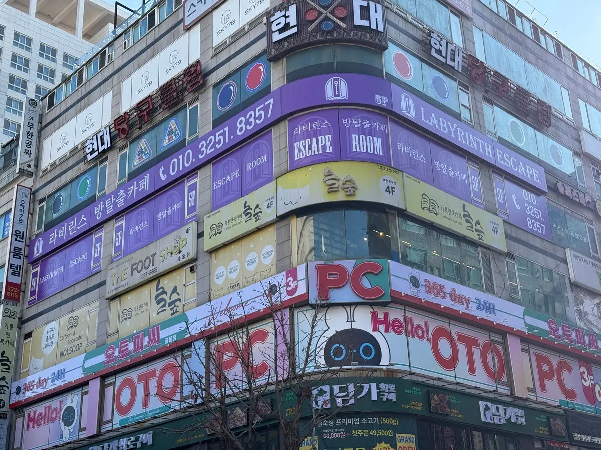 포트폴리오 이미지