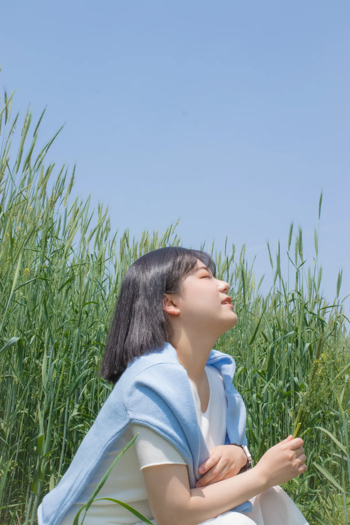 이미지 5