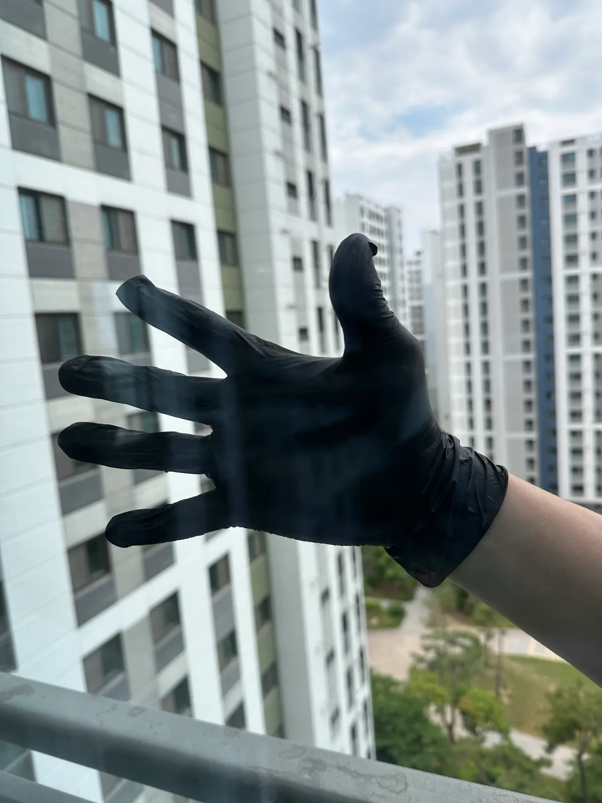 이미지 8