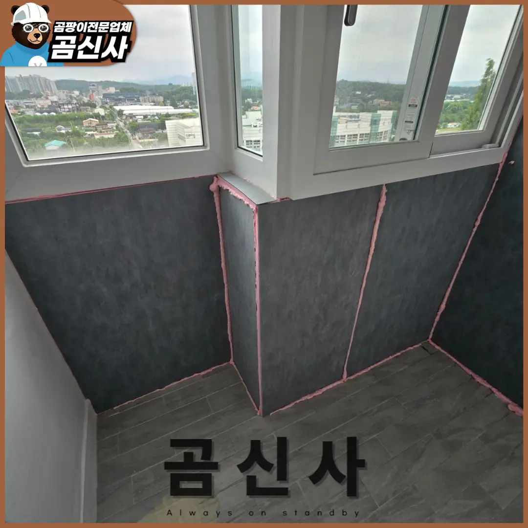 이미지 8