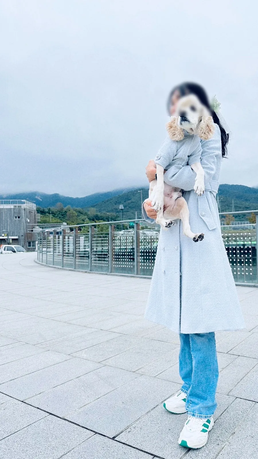이미지 16