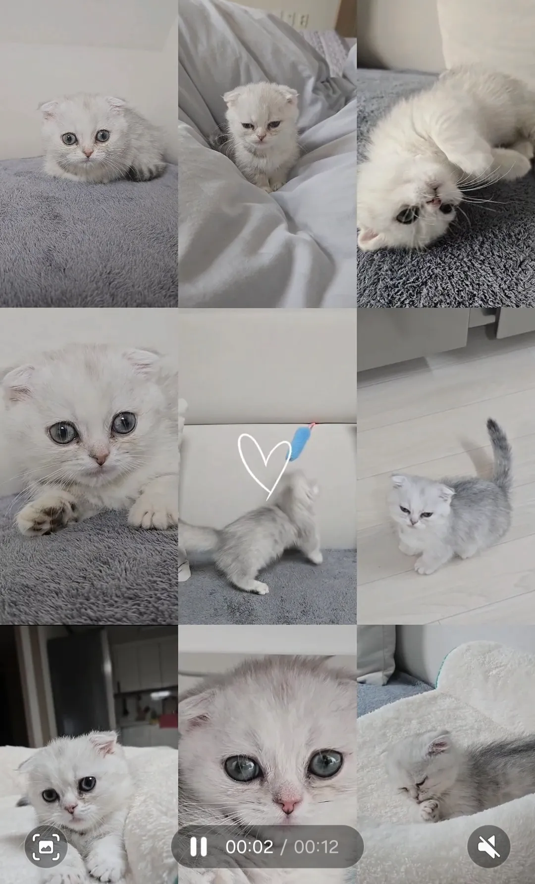 이미지 3
