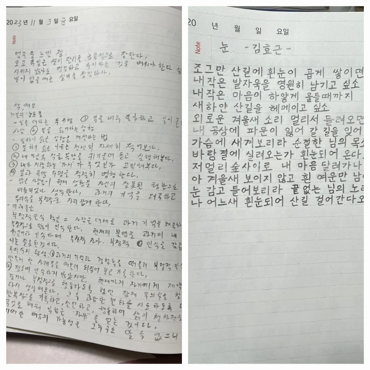 포트폴리오 이미지