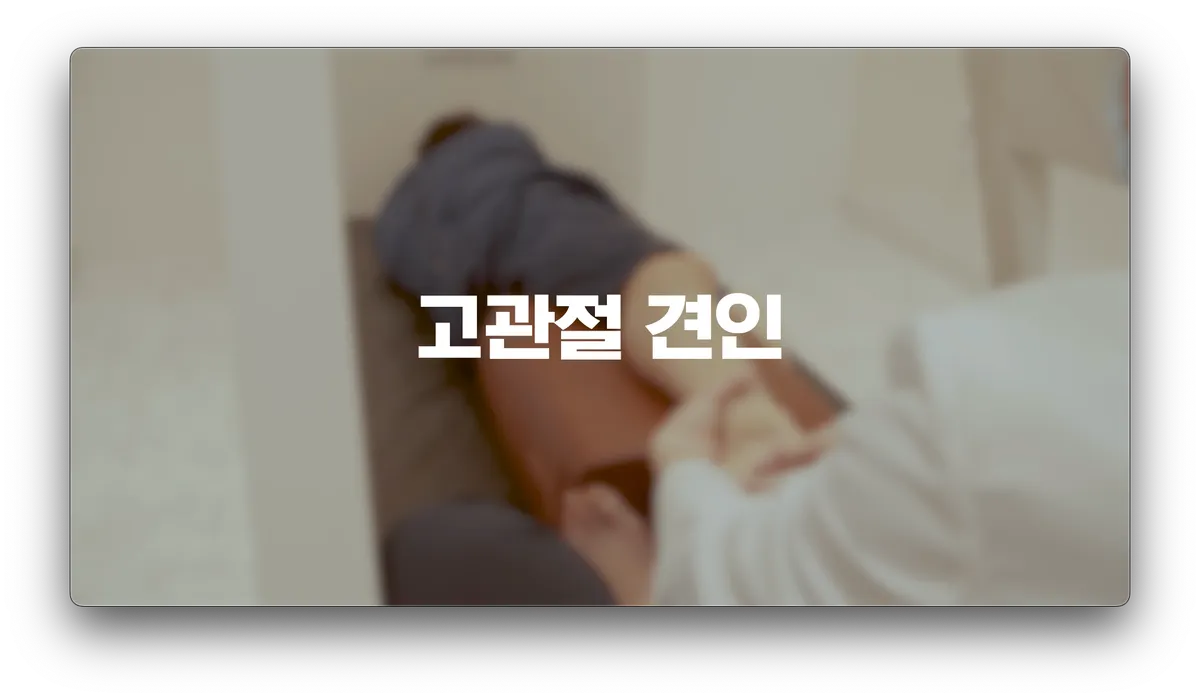 이미지 4