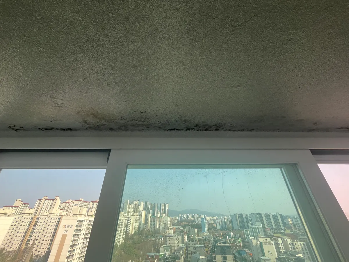이미지 4