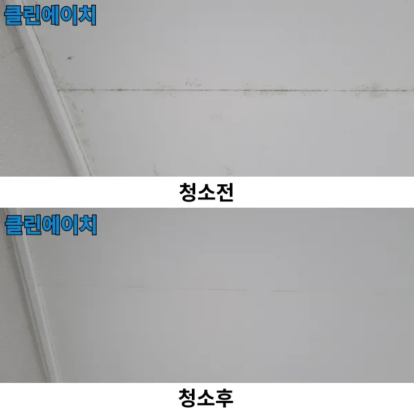 이미지 4