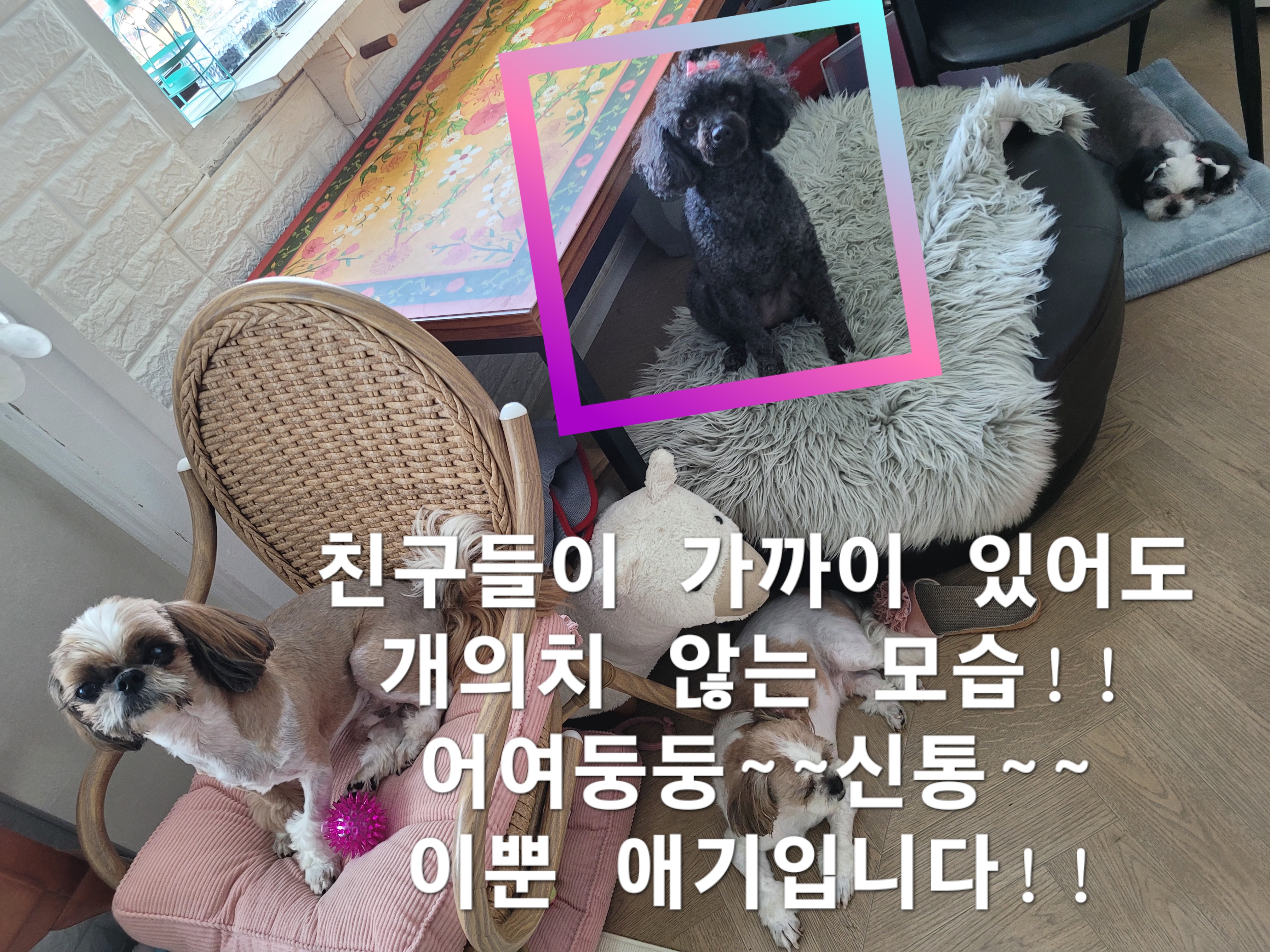 이미지 6