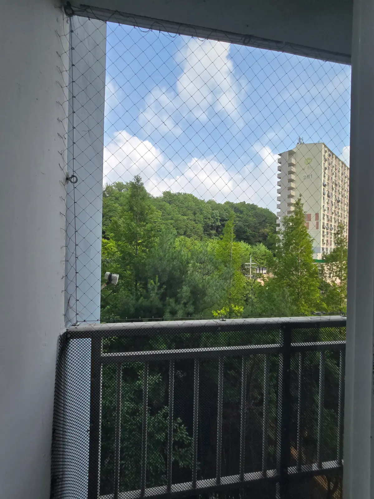 이미지 28