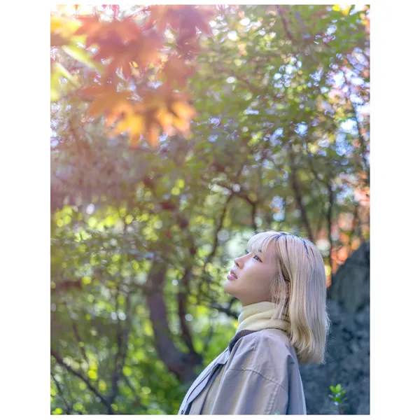 이미지 8