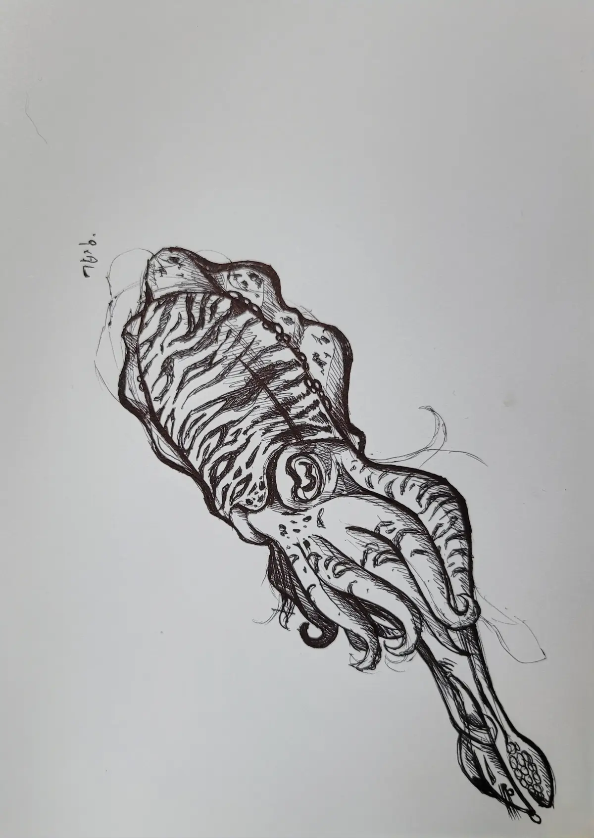 이미지 6