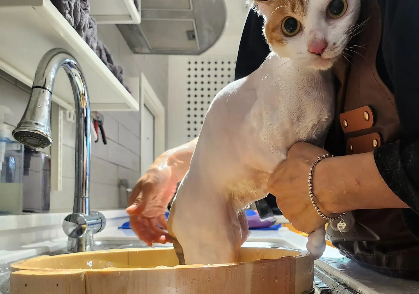 이미지 3