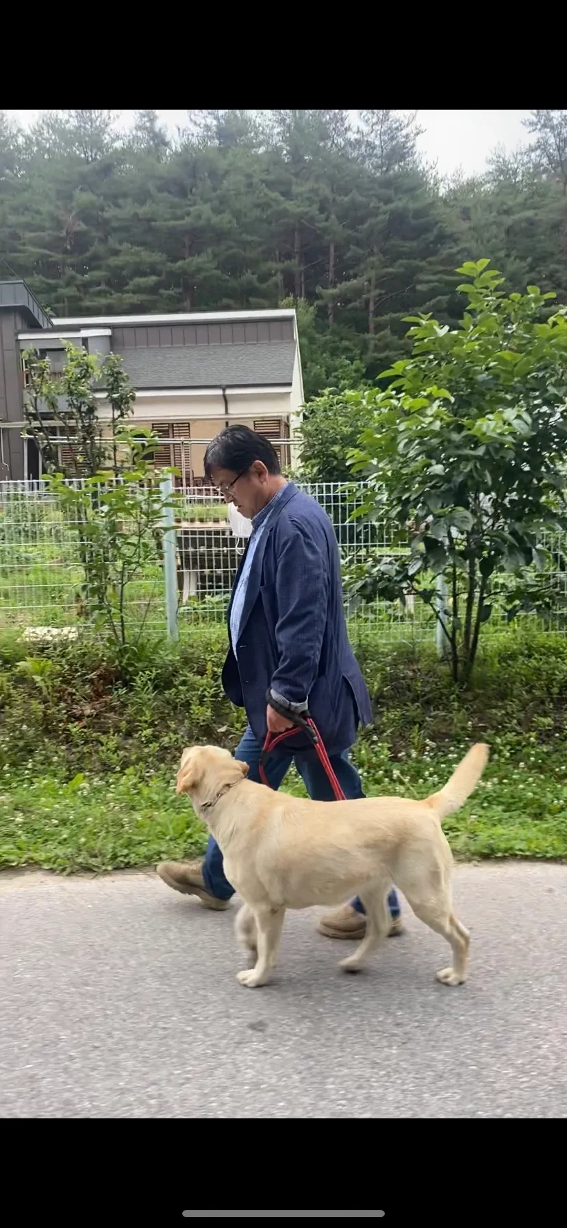 이미지 9