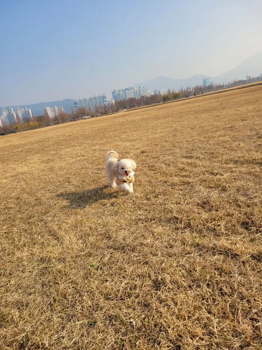 이미지 6