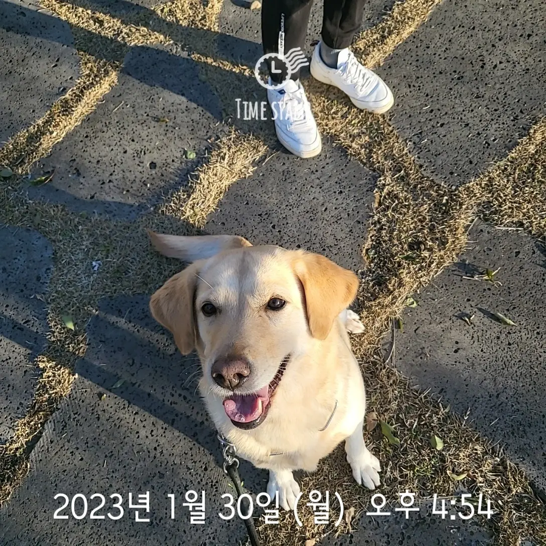 이미지 5