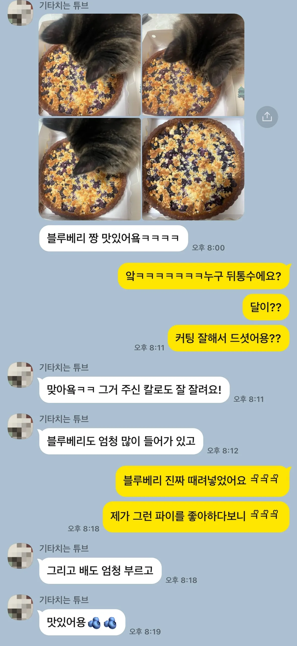 이미지 4