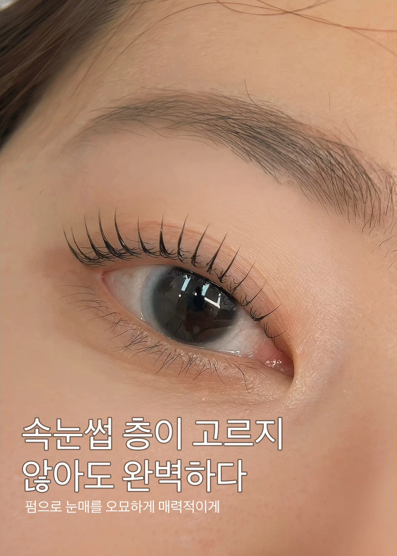 이미지 4