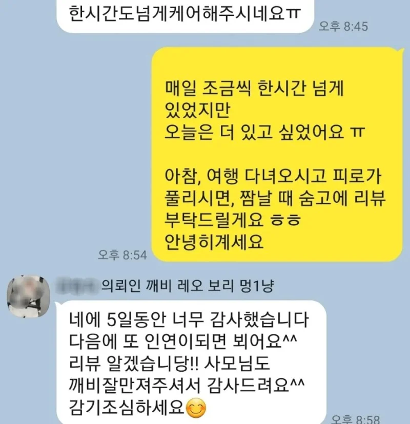 이미지 12