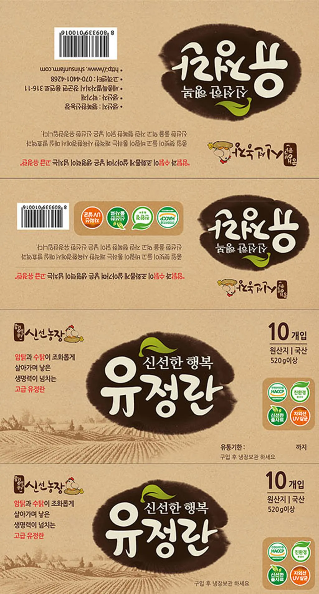 이미지 5