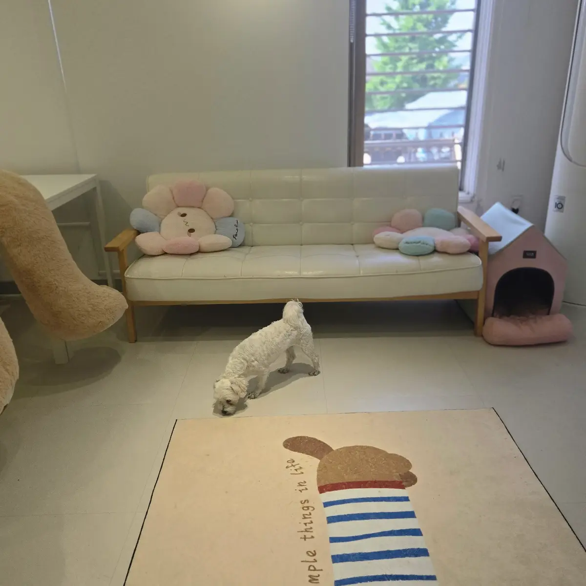 이미지 4