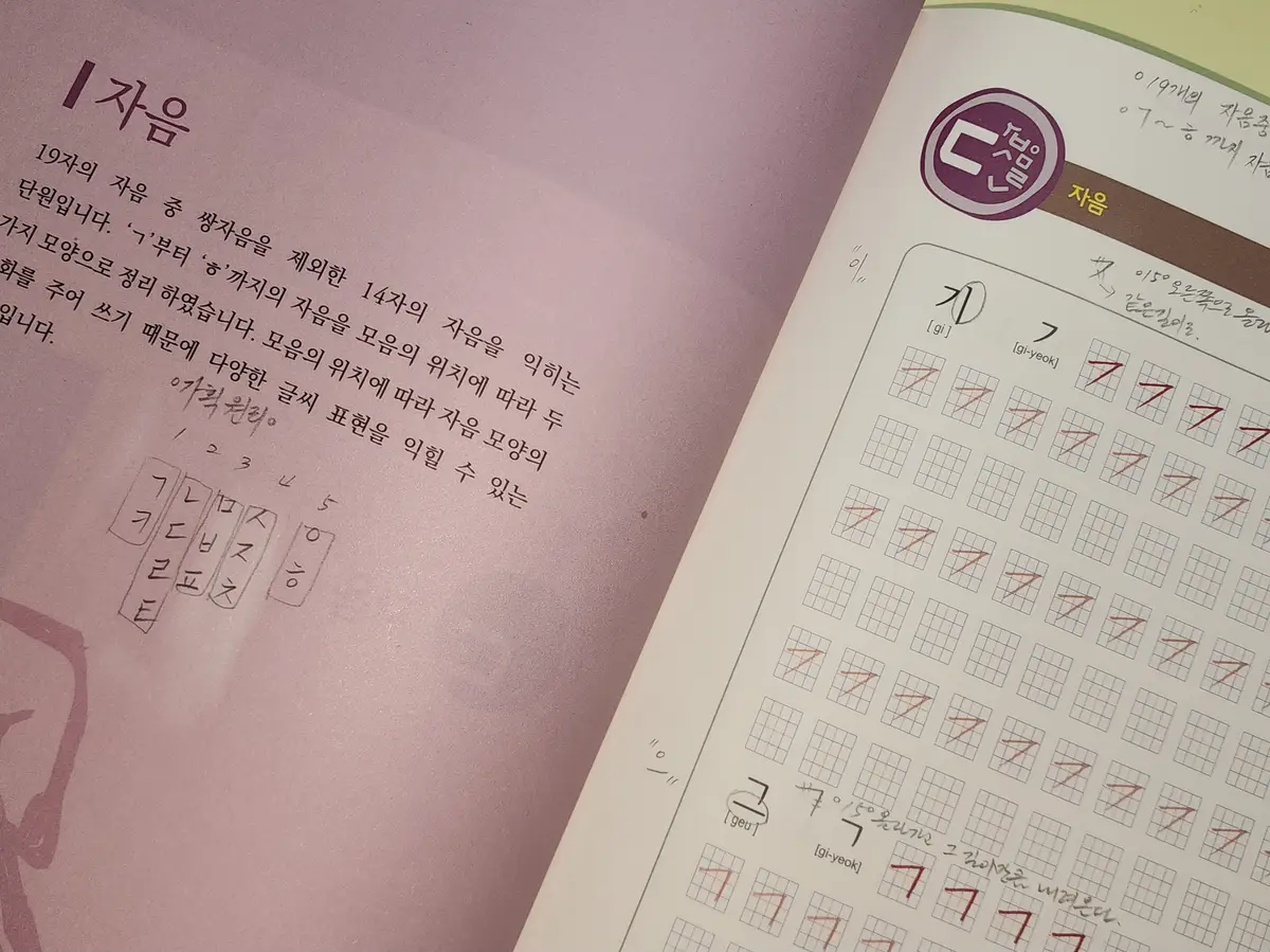 이미지 14