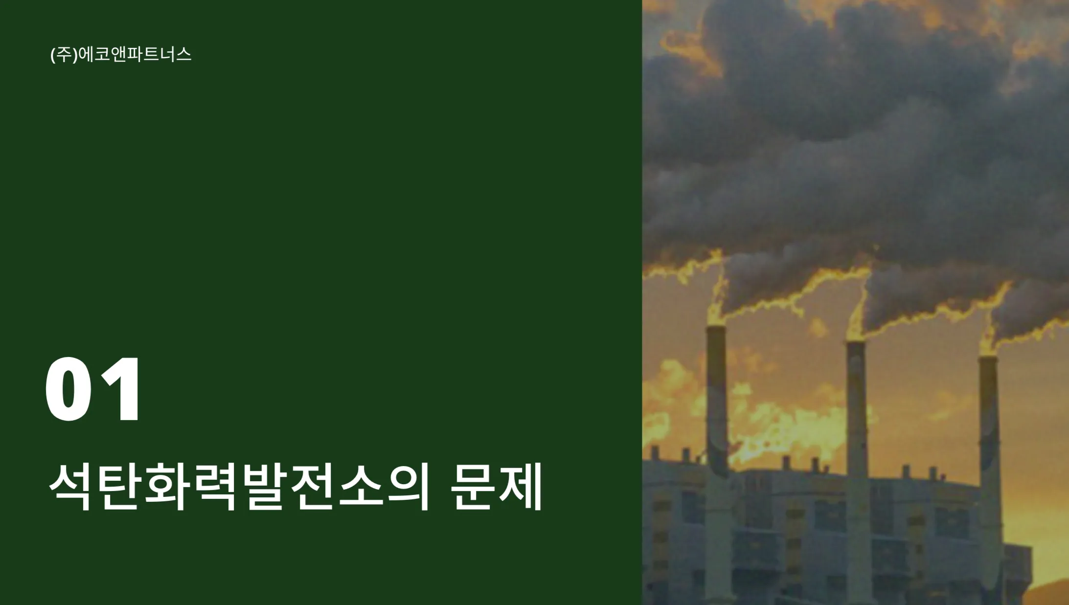 이미지 5