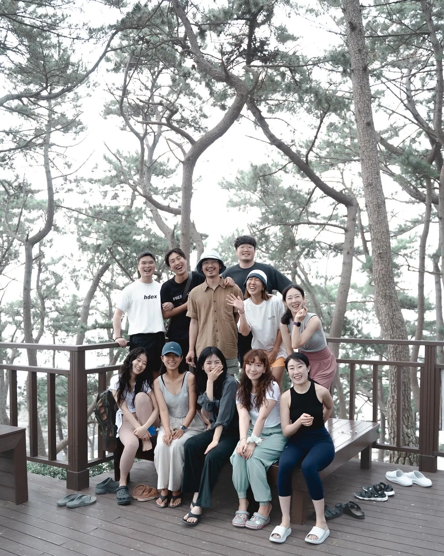 이미지 8