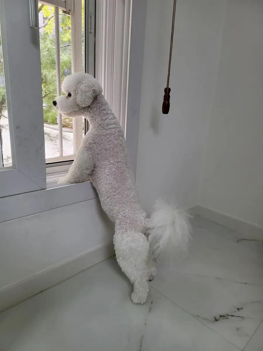 이미지 5