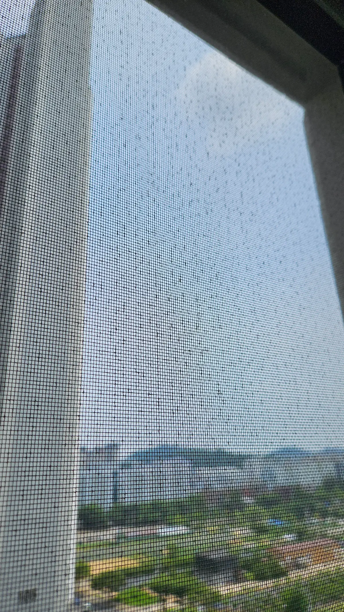 이미지 8