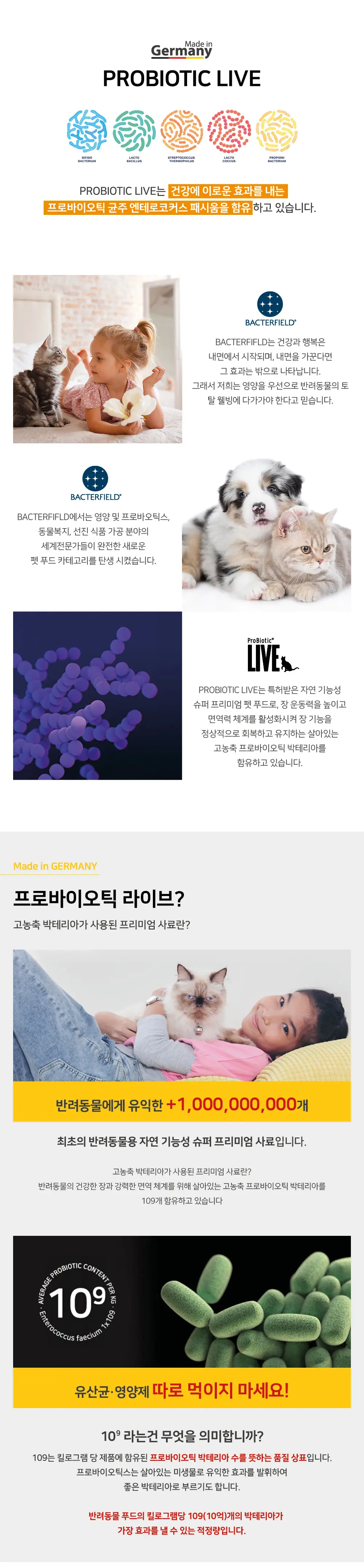 이미지 5