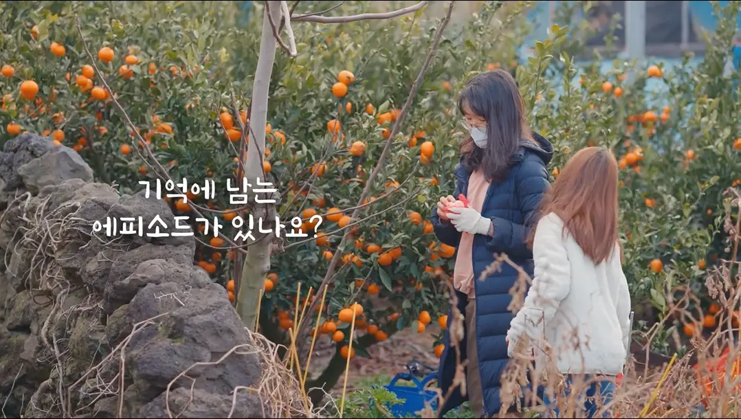 이미지 8