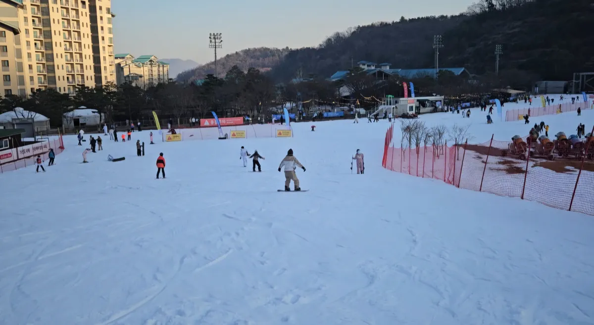 이미지 12