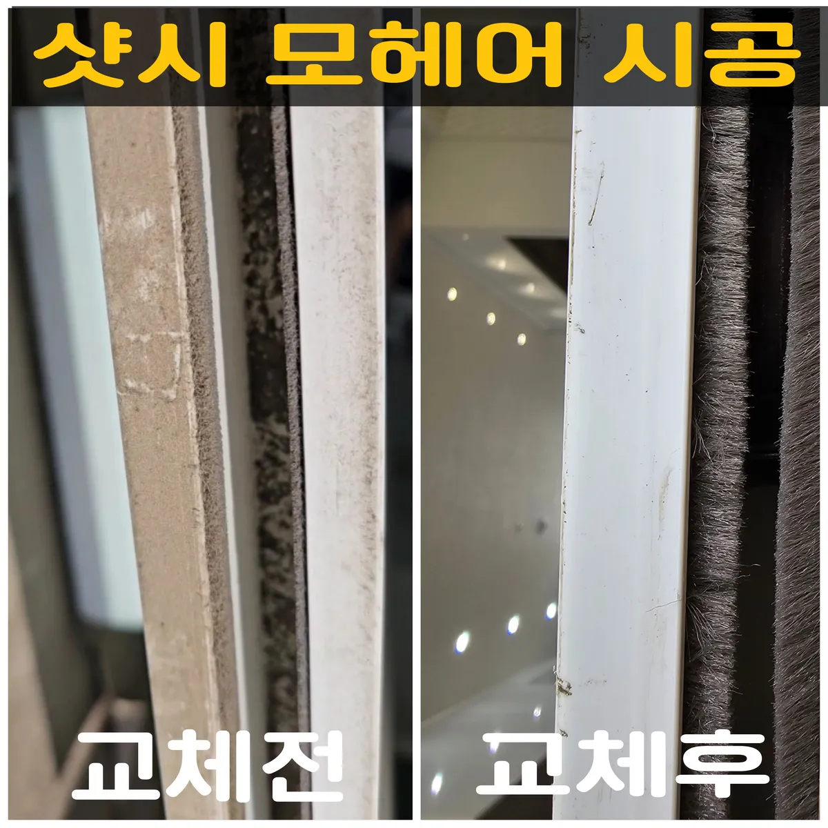 이미지 10