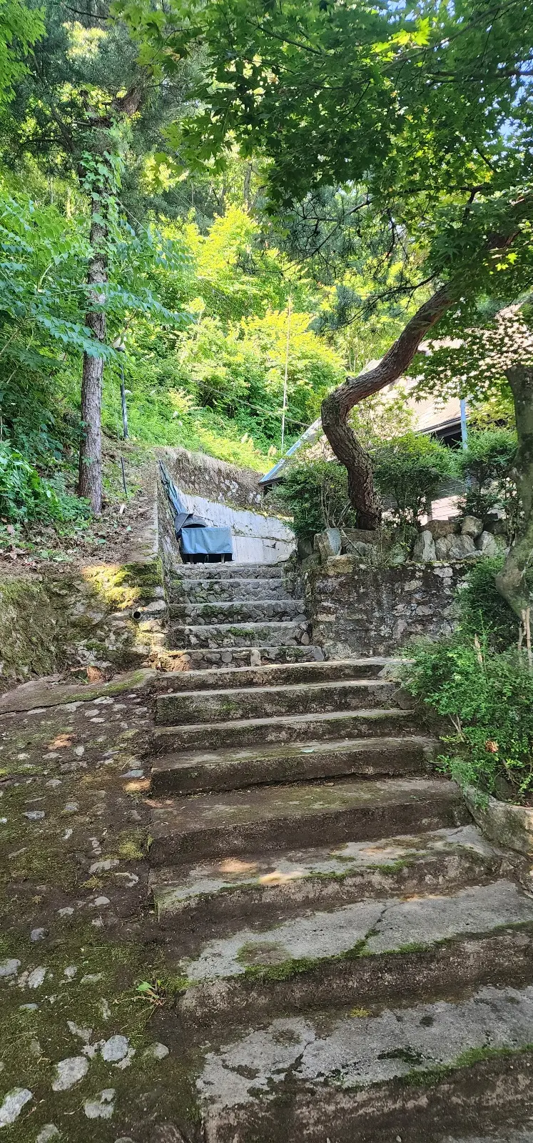 이미지 10