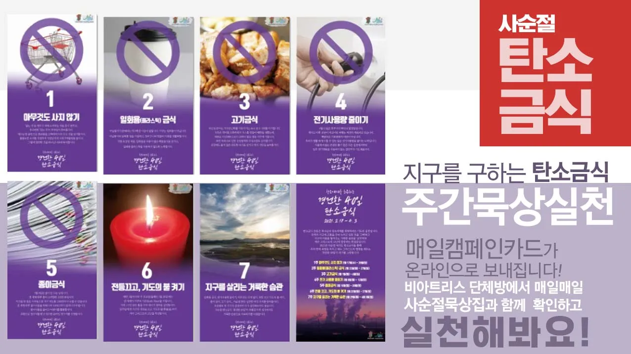이미지 12
