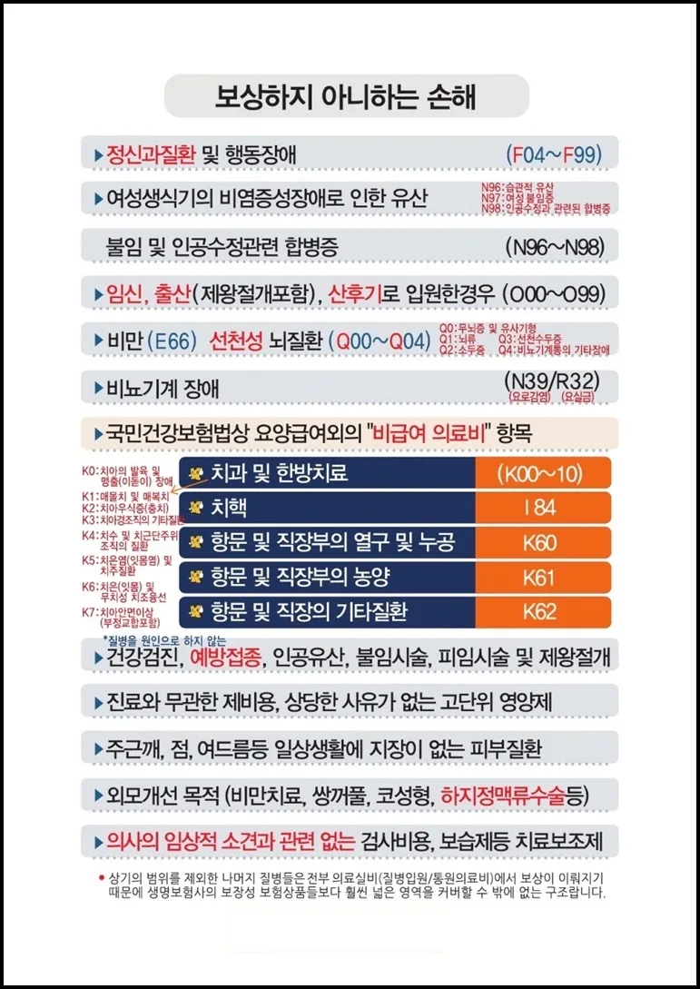 이미지 10