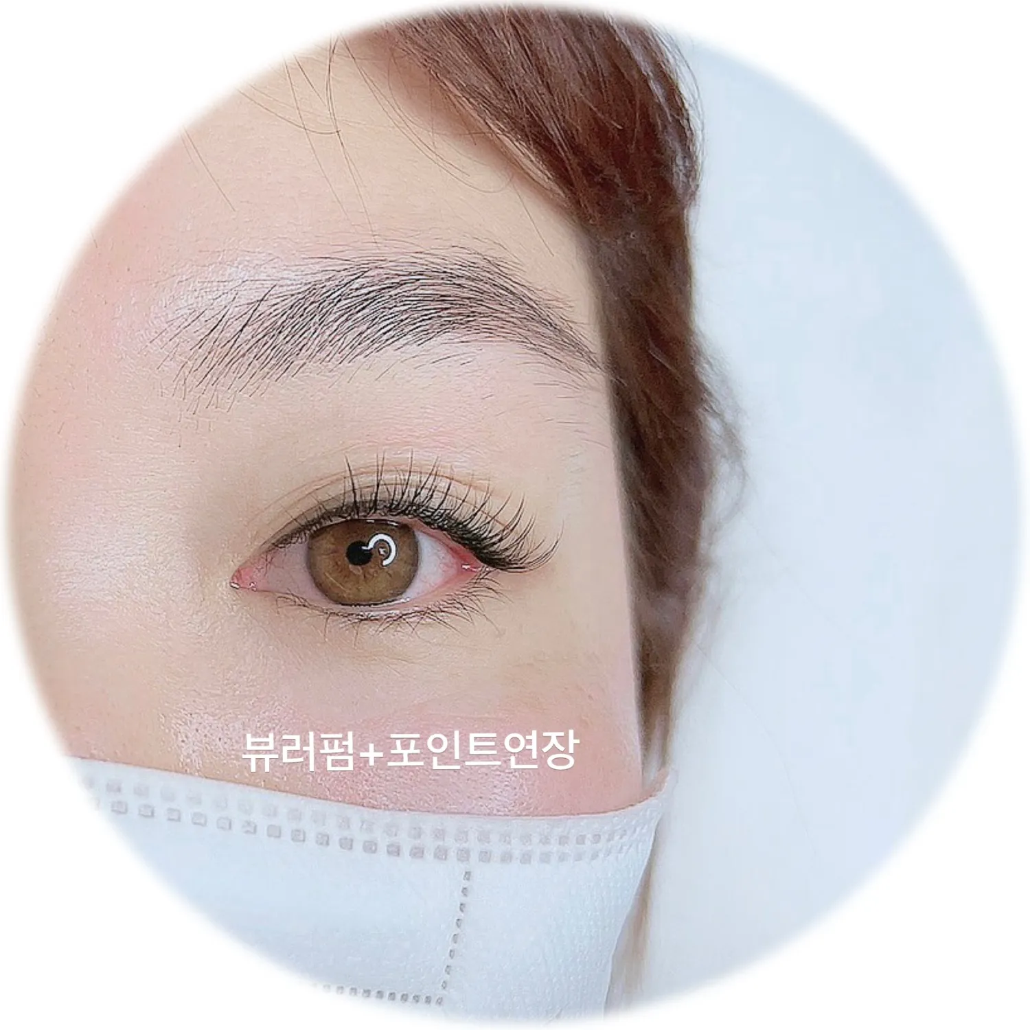 이미지 6