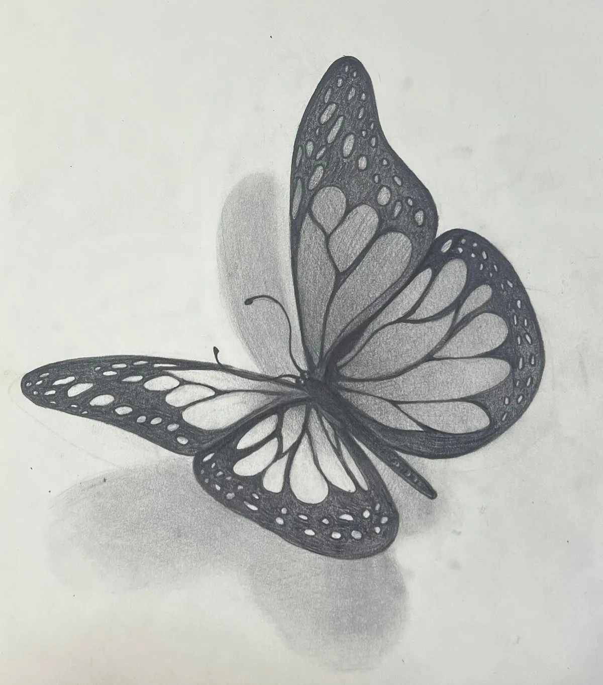 이미지 8