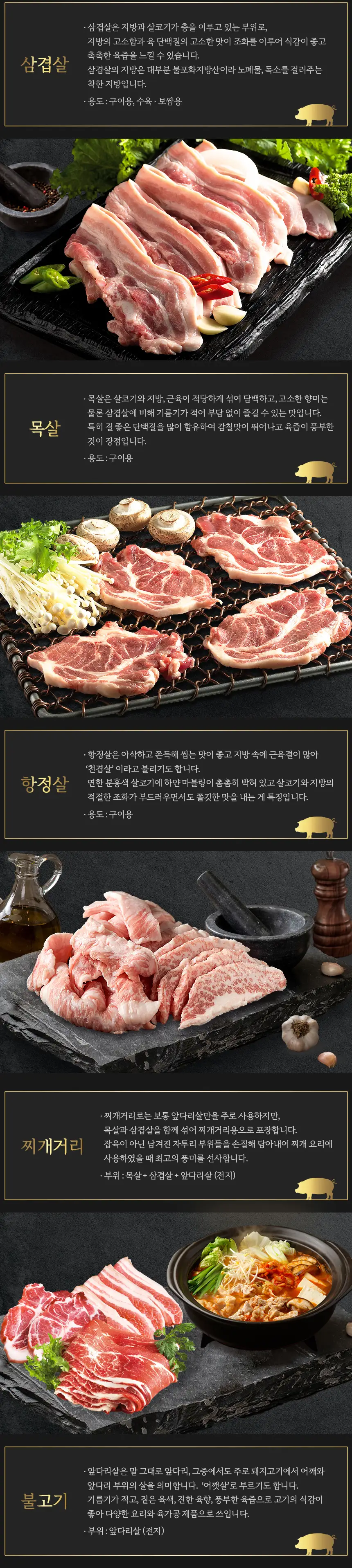 이미지 5