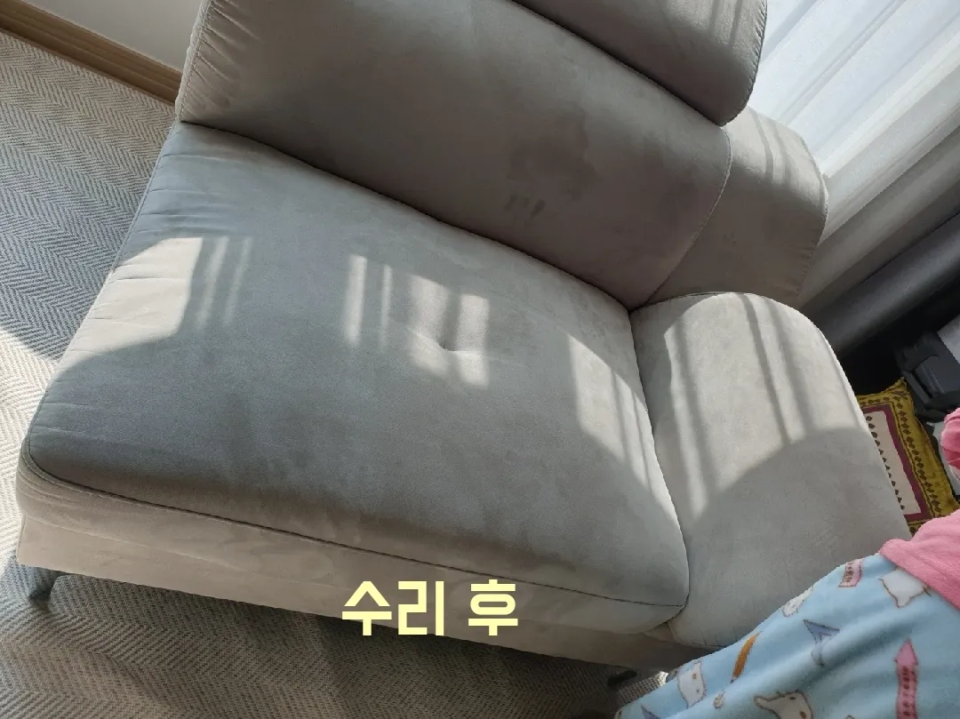 이미지 6