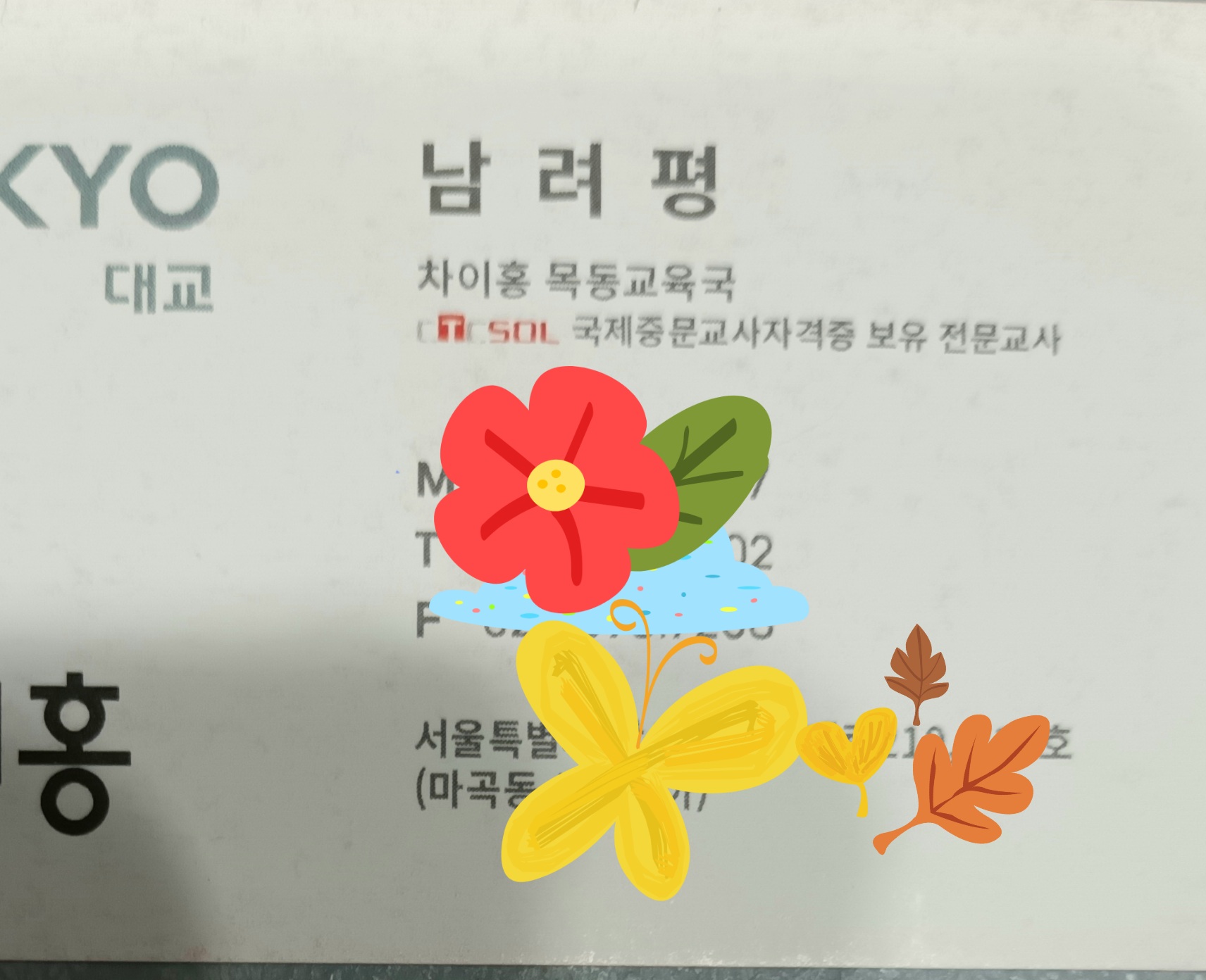 포트폴리오 이미지