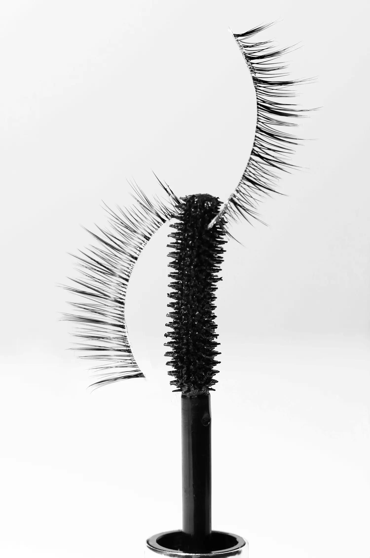 이미지 8