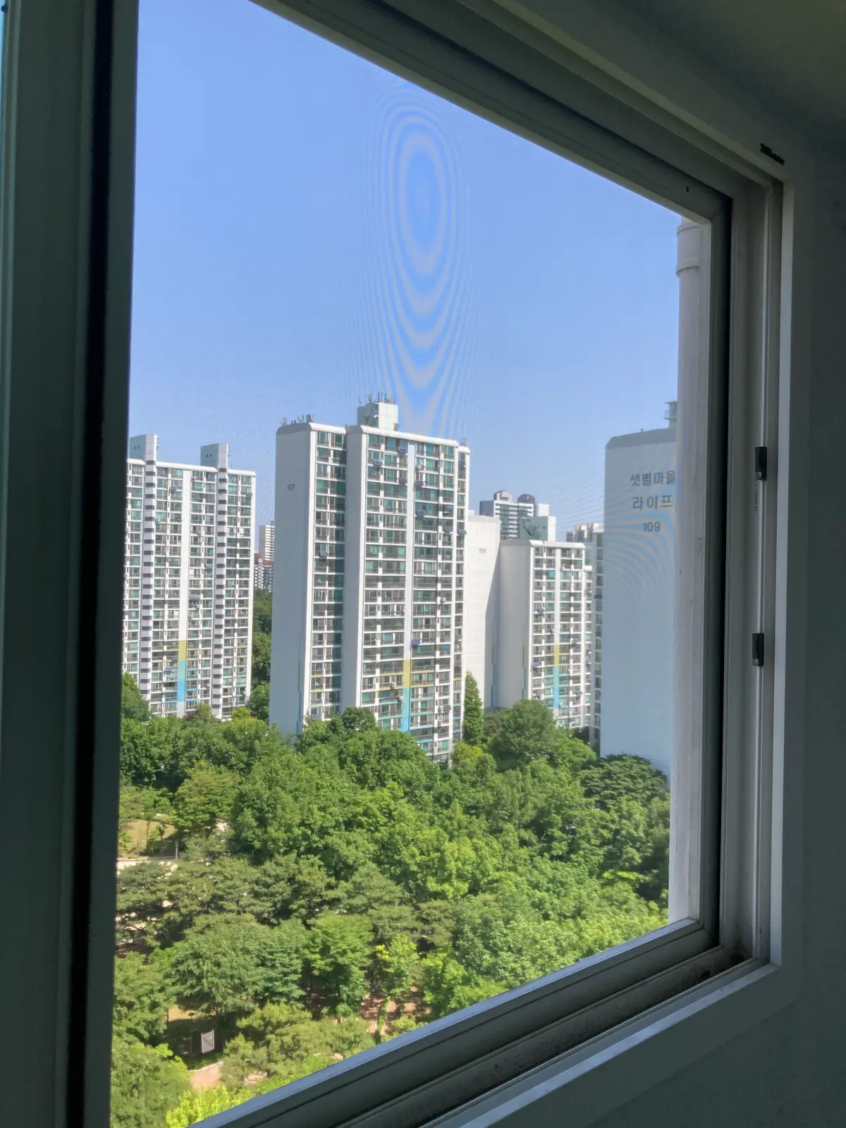 이미지 12