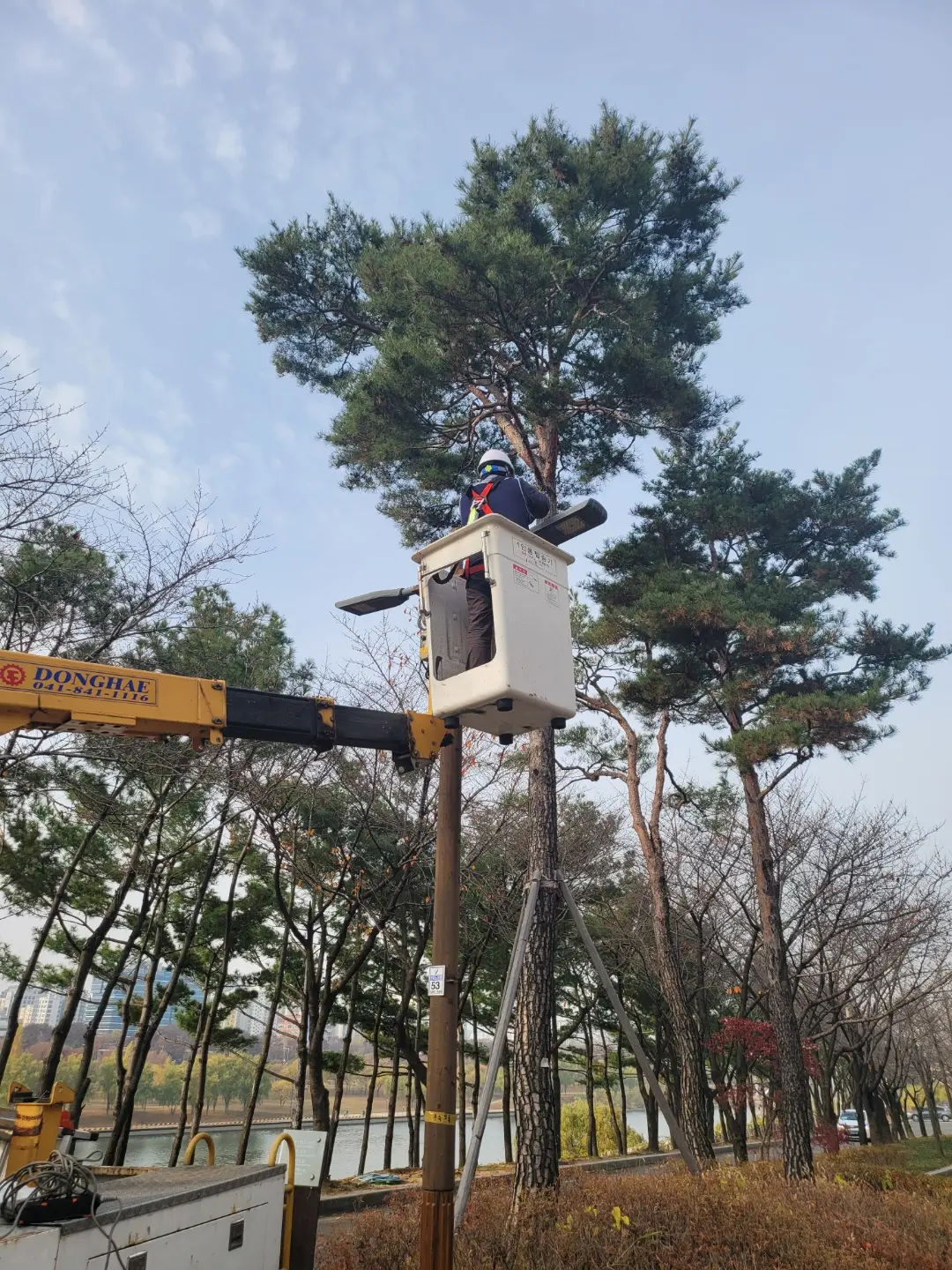 이미지 3