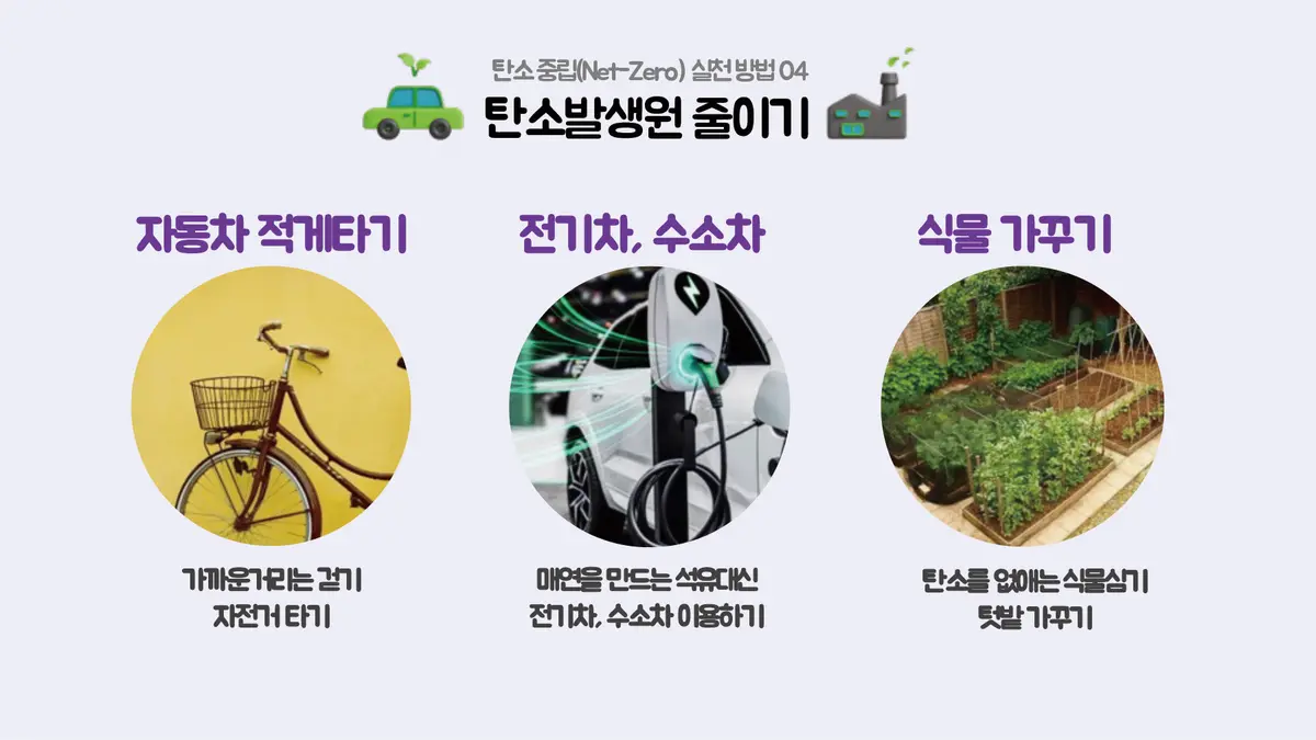 이미지 11