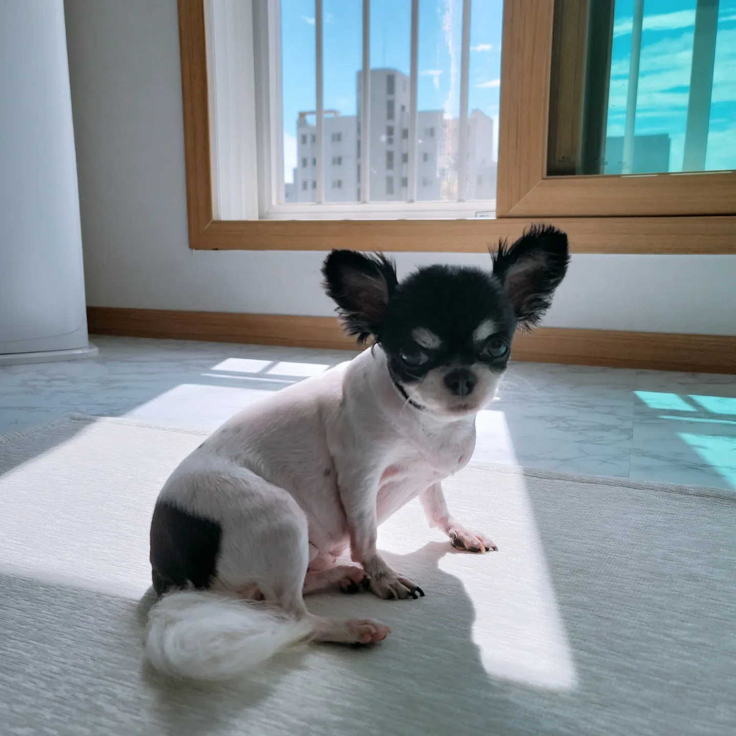 이미지 11